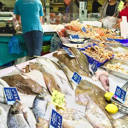 Agreable Maison Sablaise 度假居 莱萨布勒-多洛讷